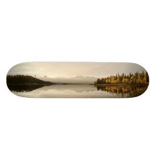 Serene Swan Lake Skate Boards