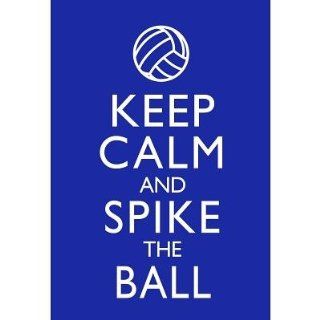 (13x19) Keep Calm and Spike the Ball Volleyball Poster   Prints
