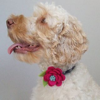 dog collar flower accessory by fibrespace