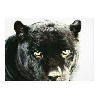 Black Jaguar Panther Eyes Invitation