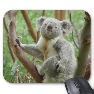 Cute Koala Bear Mousepad