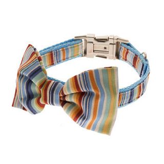 summer stripe bow tie dog collar by mrs bow tie