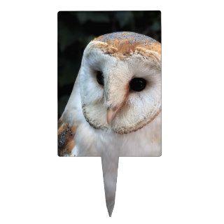White Barn Owl Rectangular Cake Topper
