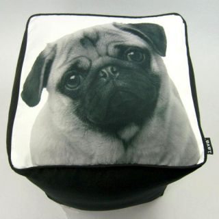 Stella Pug Cube Ottoman