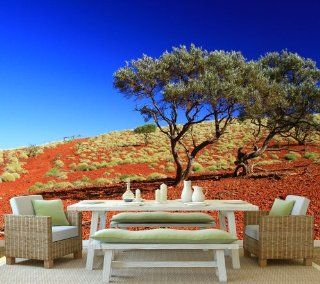Fototapete Outback Australien KT217 Gre 420x270cm Tapete Natur Baum Wste Küche & Haushalt