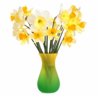 Daffodils in a Vase Magnet Photo Sculpture