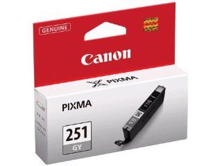 Canon Ink CLI 251 GY Individual Ink Tank Electronics