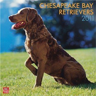 Chesapeake Bay Retrievers 2011 Inc. Brown Trout Publishing Fremdsprachige Bücher