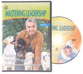 Cesar Millan Mastering Leadership DVD Volume 6 —