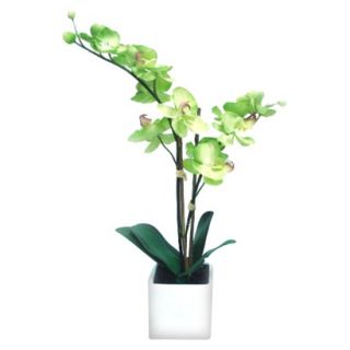 Floral Table Arrangement Green Orchid 24