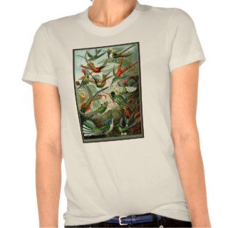 Hummingbird Print T Shirt