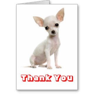 Thank You Chihuahua Puppy Dog Greeting Card