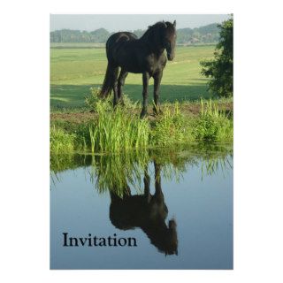Friesian Horse Reflection in water Custom Invites