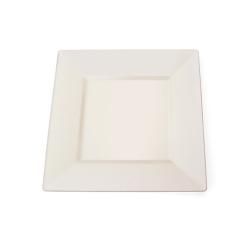 Silver Edge Square Plastic 6.5 inch Ivory Plates (set Of 10)