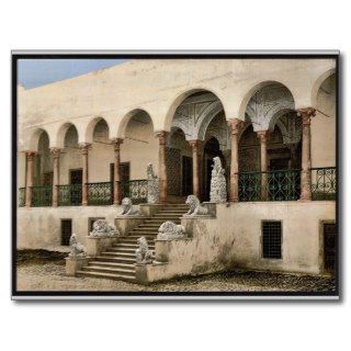 Bardo, the lion staircase, Tunis, Tunisia vintage Post Card
