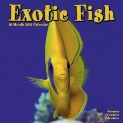 EXOTIC FISH 2011 Wall Calendar General