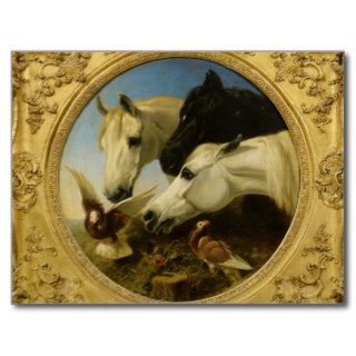 Masterpiece horse & dove painting John Herring Post Card