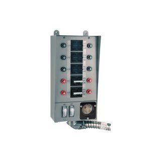 Reliance Loadside Generator Transfer Switch — 30 Amp, 10 Circuit, Model# 30310A  Generator Transfer Switches