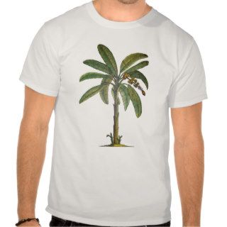 Banana Tree Botanical T Shirt