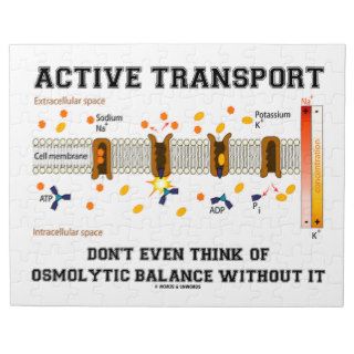 Active Transport Don't Think Of Osmolytic Balance Puzzle