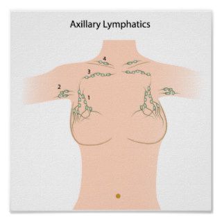 Axillary lymph nodes Poster