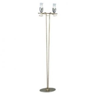 Torino Floor Lamp in Weathered Champagne Finish