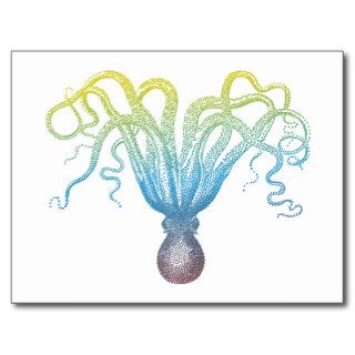 colorful octopus silhouette postcards