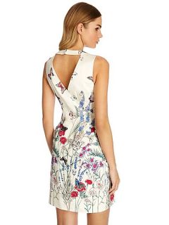 Oasis Oriental butterfly fit and flare dress Multi Coloured