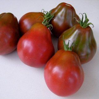 Rare Organic Japanese Black Trifele Tomato   ► Organic Japanese Trifele Seeds (20+ Seeds) ◄ by PowerGrow Systems  Tomato Plants  Patio, Lawn & Garden