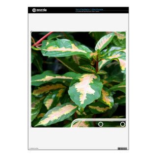 Tricolored Caricature Plant Sony PS3 Skin