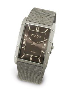 Skagen Men's Titanium Watch #338LTTM at  Men's Watch store.