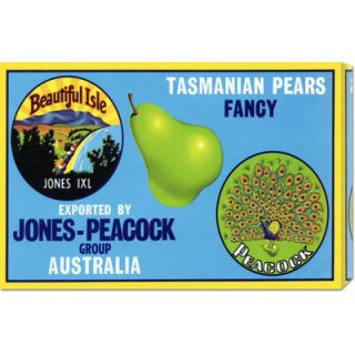 Global Gallery Jones Peacock Tasmanian Pears by Retrolabel Stretched