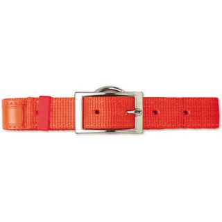 Scott Pet Hot Orange Field Collar 1W x 14L Reflexite 776540