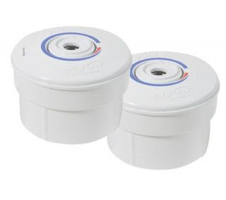 Elkay pureSmart Set of 2 150 Gallon Water Filters —