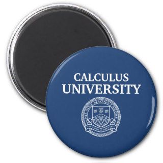 Calculus T Shirt Magnets