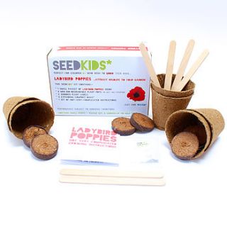 seedkids* grow your own ladybird poppies kit by studio 9 ltd