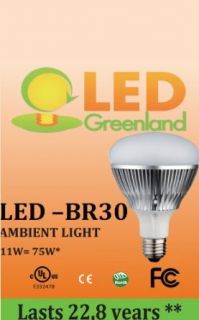 Br30 LED Flood Light Bulb 11watt(75watt) Dimmable 900lumens Warm White 120 Degree Angle Byled Greenland   Led Household Light Bulbs  