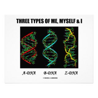 Three Types Of Me, Myself & I (A DNA B DNA Z DNA) Customized Letterhead