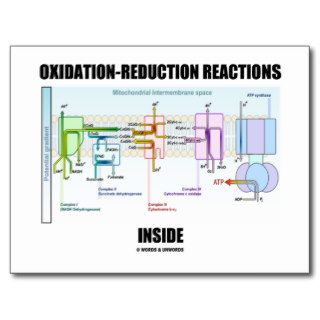 Oxidation Reduction Reactions Inside Postcards