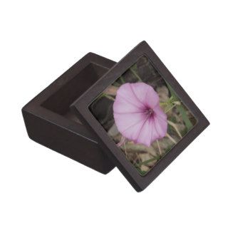 Flower mf 43 premium gift boxes