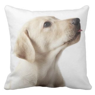 Blond Labrador puppy sticking out tongue Throw Pillows