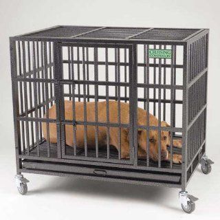 Cruising Companion Empire II Pet Cage, Medium, Graphite  Pet Crates 