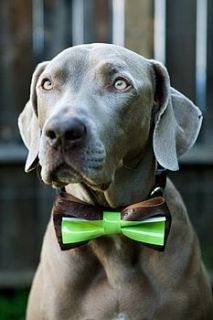 dog bow tie collar by long paws