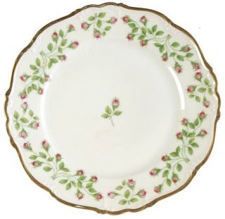 Edelstein Hedgerose Salad Plate, Fine China Dinnerware   Small Pink Rosebuds