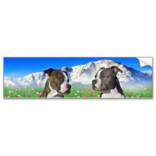 Brindle & Blue Staffordshire & Pit Bull Dogs Bumper Stickers