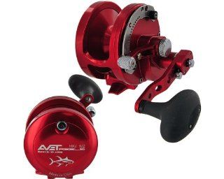 Avet HX5/2G Lever Drag 2 Speed Reel, Gold Finish  Offshore Fishing Reels  Sports & Outdoors
