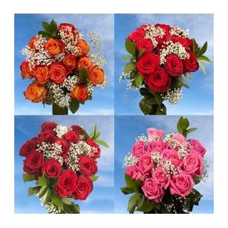 Deliver 12 Dozen Roses  6 Dozen Red Roses & 6 Dozen Assorted Color Roses  Fresh Cut Format Rose Flowers  Grocery & Gourmet Food
