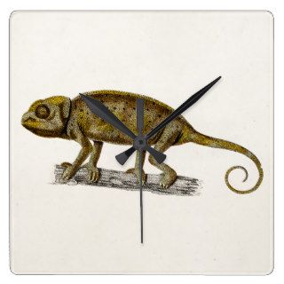 Vintage 1800s Iguana Lizard Illustration Iguanas Wall Clock