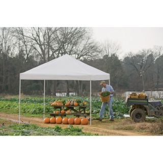 Canopy Factory Pop-Up Canopy — 10ft.L x 10ft.W, Straight Leg, White, Model# 22597  Pop Up Canopies