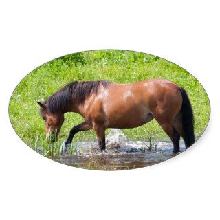 Paddling Horse Oval Stickers
